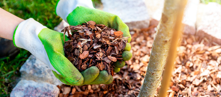 Beneficios del mulching