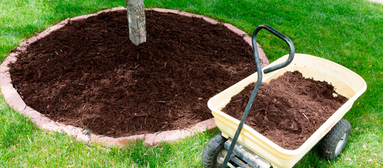 Tipos de materiales para mulching